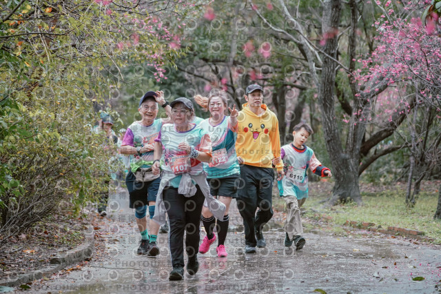 2026左岸竹東櫻花馬拉松Zhudong Sakura Marathon