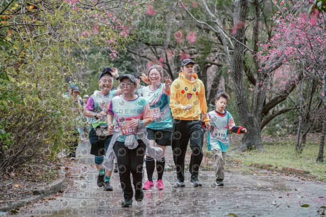 2026左岸竹東櫻花馬拉松Zhudong Sakura Marathon