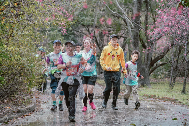 2026左岸竹東櫻花馬拉松Zhudong Sakura Marathon