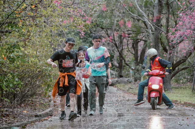 2026左岸竹東櫻花馬拉松Zhudong Sakura Marathon
