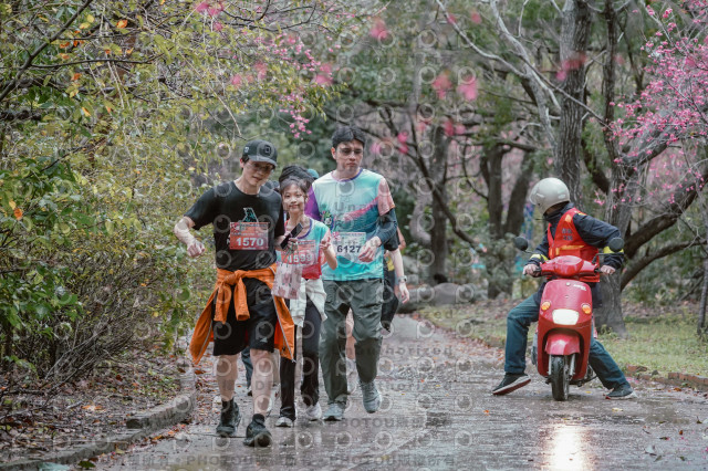 2026左岸竹東櫻花馬拉松Zhudong Sakura Marathon