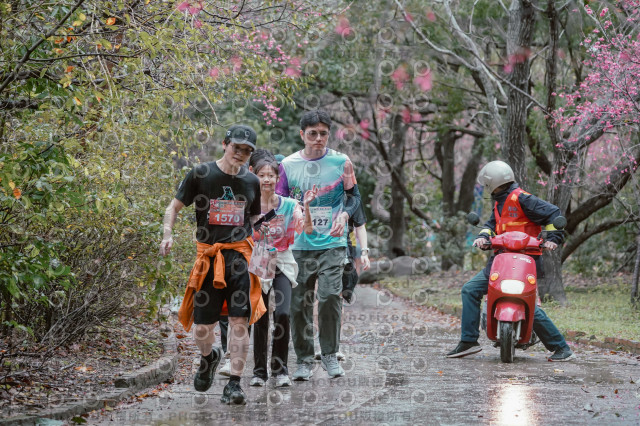 2026左岸竹東櫻花馬拉松Zhudong Sakura Marathon