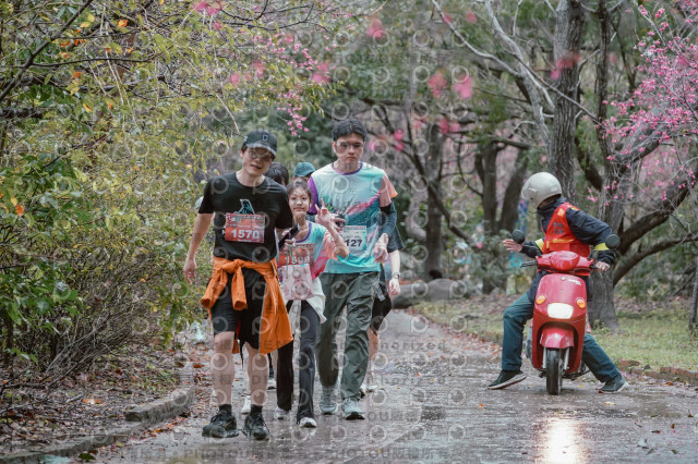 2026左岸竹東櫻花馬拉松Zhudong Sakura Marathon