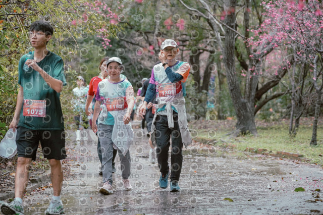 2026左岸竹東櫻花馬拉松Zhudong Sakura Marathon