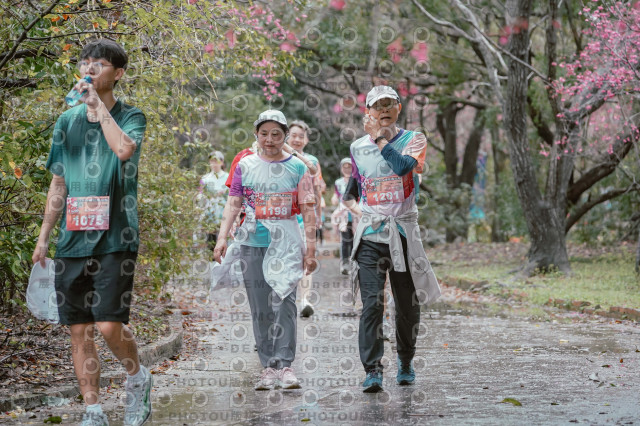 2026左岸竹東櫻花馬拉松Zhudong Sakura Marathon