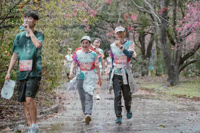2026左岸竹東櫻花馬拉松Zhudong Sakura Marathon