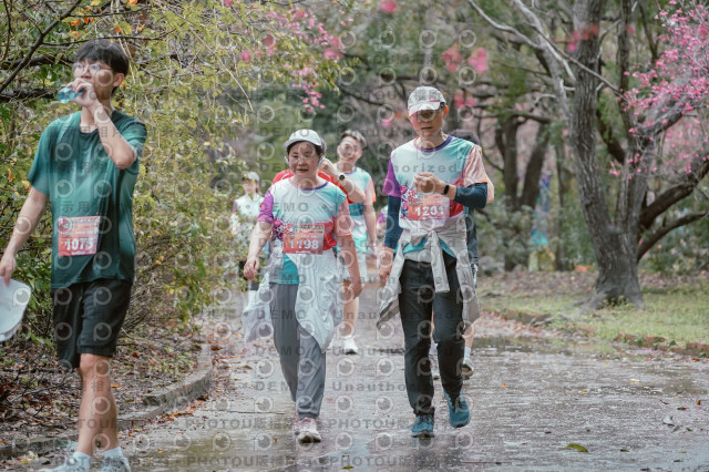 2026左岸竹東櫻花馬拉松Zhudong Sakura Marathon
