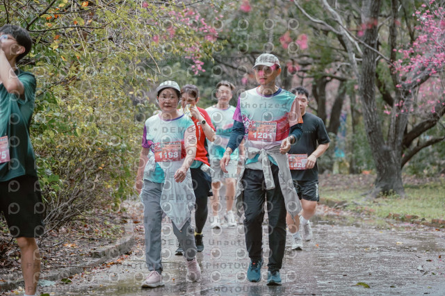 2026左岸竹東櫻花馬拉松Zhudong Sakura Marathon