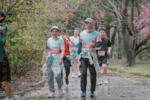 2026左岸竹東櫻花馬拉松Zhudong Sakura Marathon