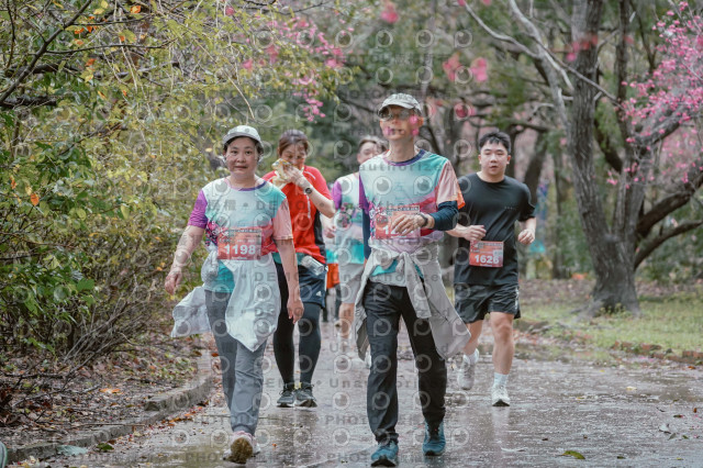 2026左岸竹東櫻花馬拉松Zhudong Sakura Marathon