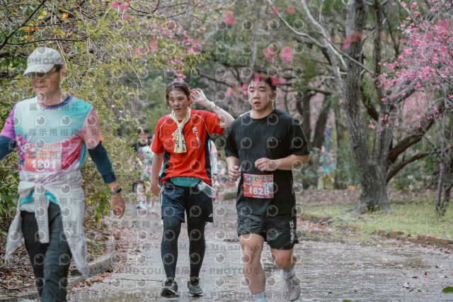 2026左岸竹東櫻花馬拉松Zhudong Sakura Marathon