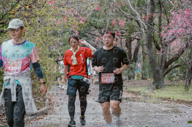 2026左岸竹東櫻花馬拉松Zhudong Sakura Marathon
