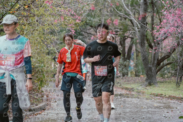 2026左岸竹東櫻花馬拉松Zhudong Sakura Marathon