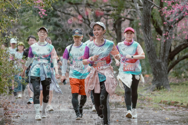 2026左岸竹東櫻花馬拉松Zhudong Sakura Marathon