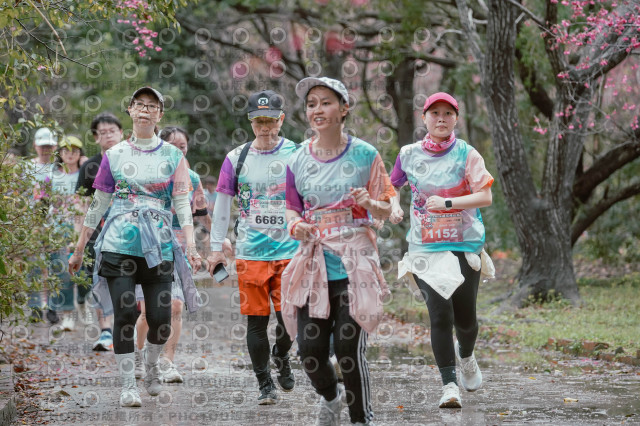 2026左岸竹東櫻花馬拉松Zhudong Sakura Marathon