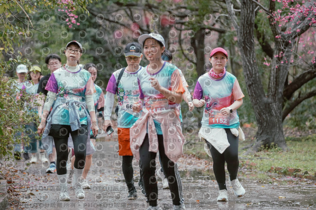 2026左岸竹東櫻花馬拉松Zhudong Sakura Marathon