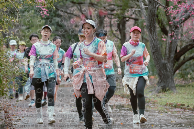2026左岸竹東櫻花馬拉松Zhudong Sakura Marathon