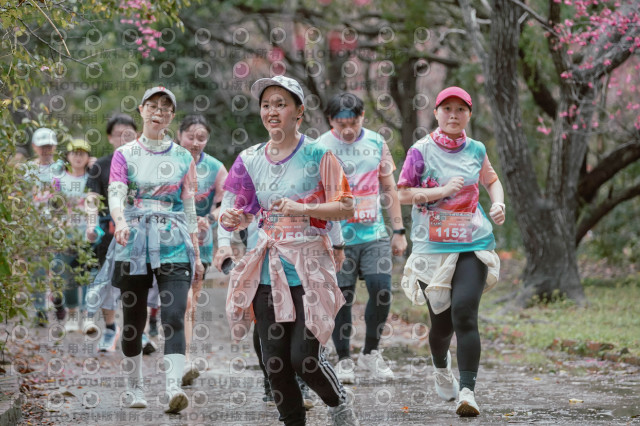 2026左岸竹東櫻花馬拉松Zhudong Sakura Marathon