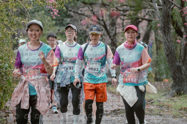 2026左岸竹東櫻花馬拉松Zhudong Sakura Marathon