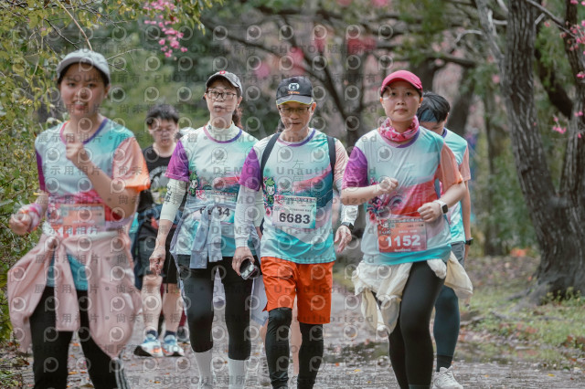 2026左岸竹東櫻花馬拉松Zhudong Sakura Marathon