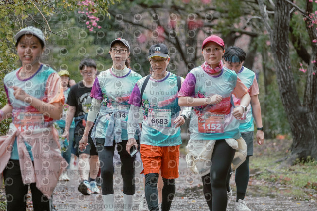 2026左岸竹東櫻花馬拉松Zhudong Sakura Marathon