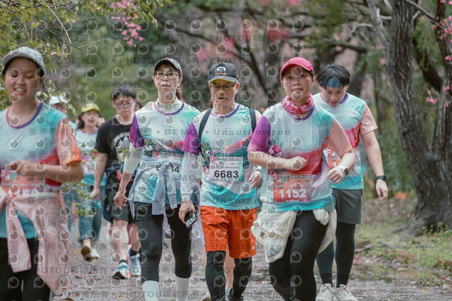 2026左岸竹東櫻花馬拉松Zhudong Sakura Marathon