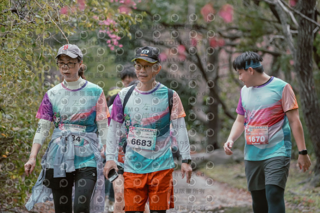 2026左岸竹東櫻花馬拉松Zhudong Sakura Marathon
