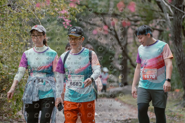 2026左岸竹東櫻花馬拉松Zhudong Sakura Marathon