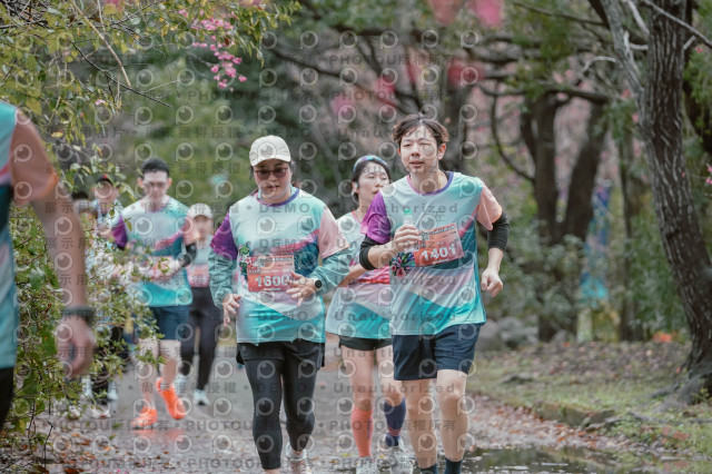2026左岸竹東櫻花馬拉松Zhudong Sakura Marathon