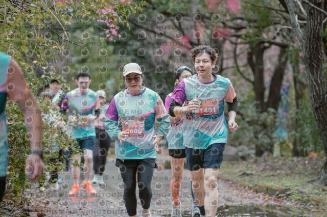 2026左岸竹東櫻花馬拉松Zhudong Sakura Marathon