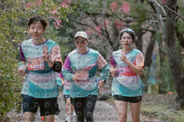 2026左岸竹東櫻花馬拉松Zhudong Sakura Marathon