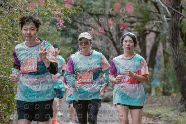 2026左岸竹東櫻花馬拉松Zhudong Sakura Marathon