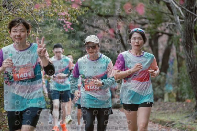 2026左岸竹東櫻花馬拉松Zhudong Sakura Marathon