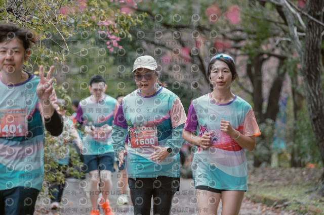 2026左岸竹東櫻花馬拉松Zhudong Sakura Marathon