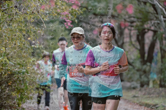 2026左岸竹東櫻花馬拉松Zhudong Sakura Marathon