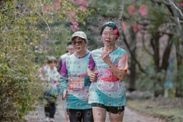 2026左岸竹東櫻花馬拉松Zhudong Sakura Marathon