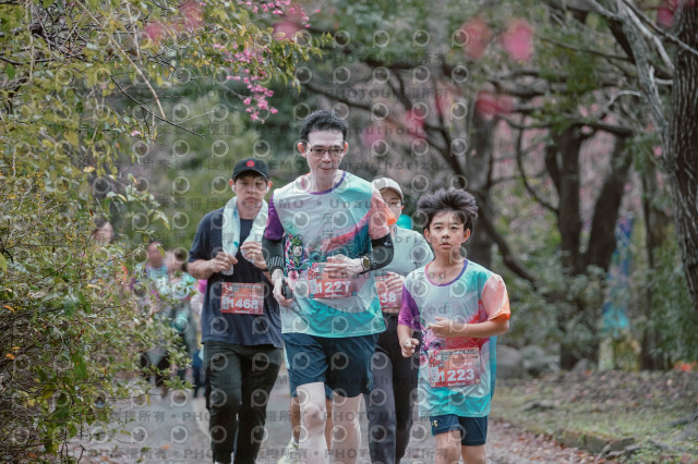 2026左岸竹東櫻花馬拉松Zhudong Sakura Marathon