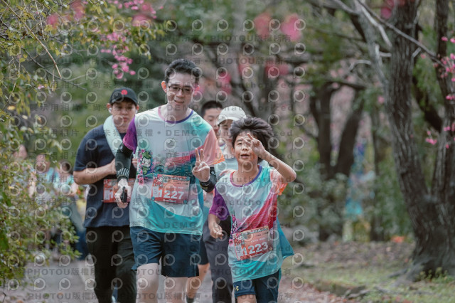 2026左岸竹東櫻花馬拉松Zhudong Sakura Marathon