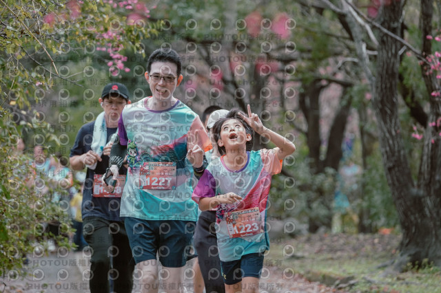 2026左岸竹東櫻花馬拉松Zhudong Sakura Marathon