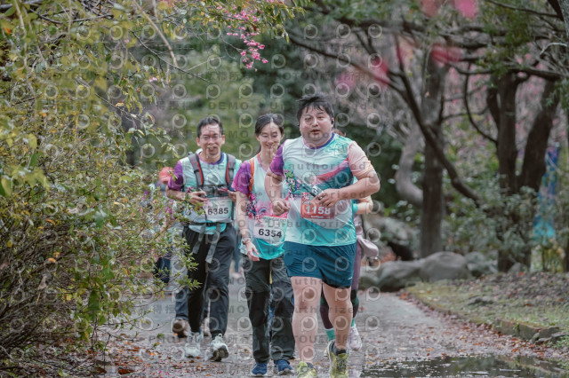 2026左岸竹東櫻花馬拉松Zhudong Sakura Marathon