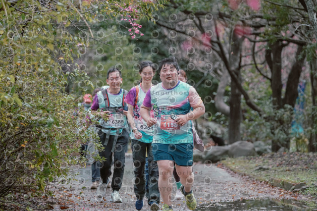 2026左岸竹東櫻花馬拉松Zhudong Sakura Marathon