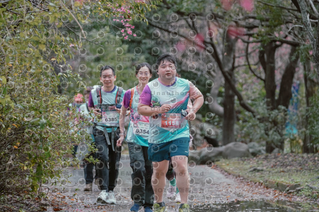 2026左岸竹東櫻花馬拉松Zhudong Sakura Marathon