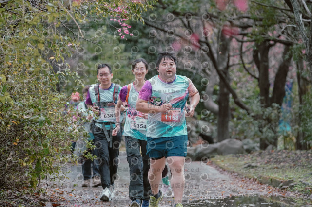 2026左岸竹東櫻花馬拉松Zhudong Sakura Marathon