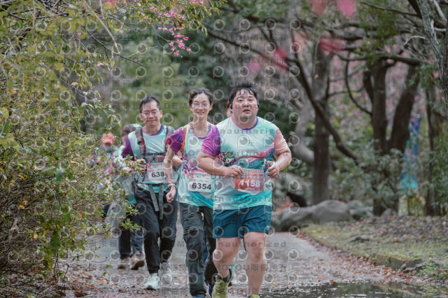 2026左岸竹東櫻花馬拉松Zhudong Sakura Marathon
