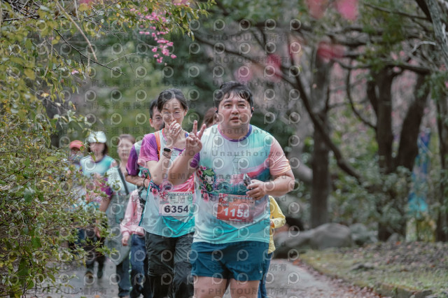 2026左岸竹東櫻花馬拉松Zhudong Sakura Marathon