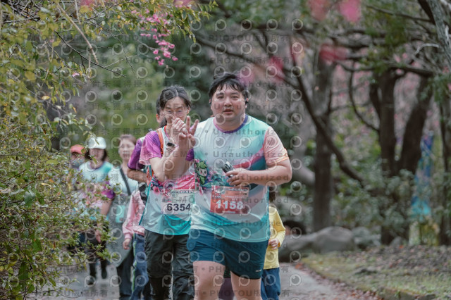 2026左岸竹東櫻花馬拉松Zhudong Sakura Marathon
