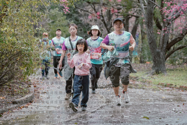 2026左岸竹東櫻花馬拉松Zhudong Sakura Marathon