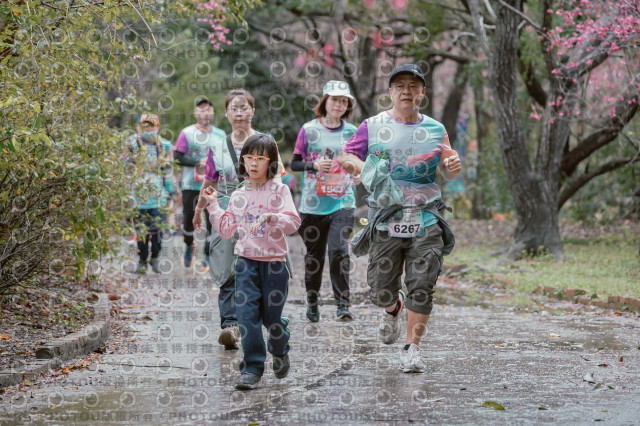 2026左岸竹東櫻花馬拉松Zhudong Sakura Marathon
