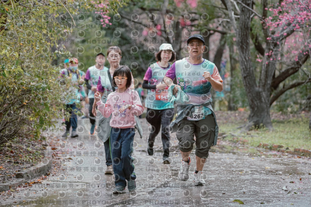 2026左岸竹東櫻花馬拉松Zhudong Sakura Marathon