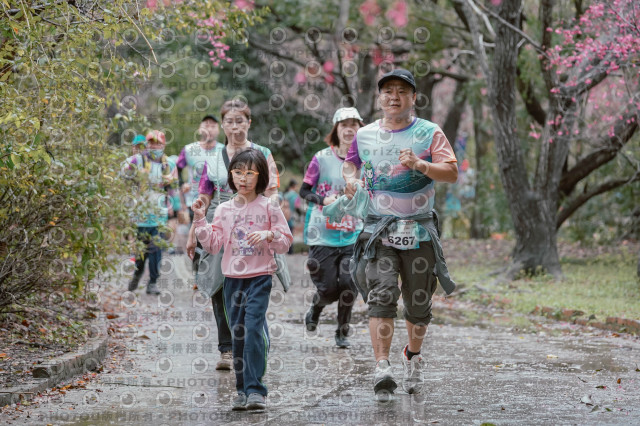 2026左岸竹東櫻花馬拉松Zhudong Sakura Marathon